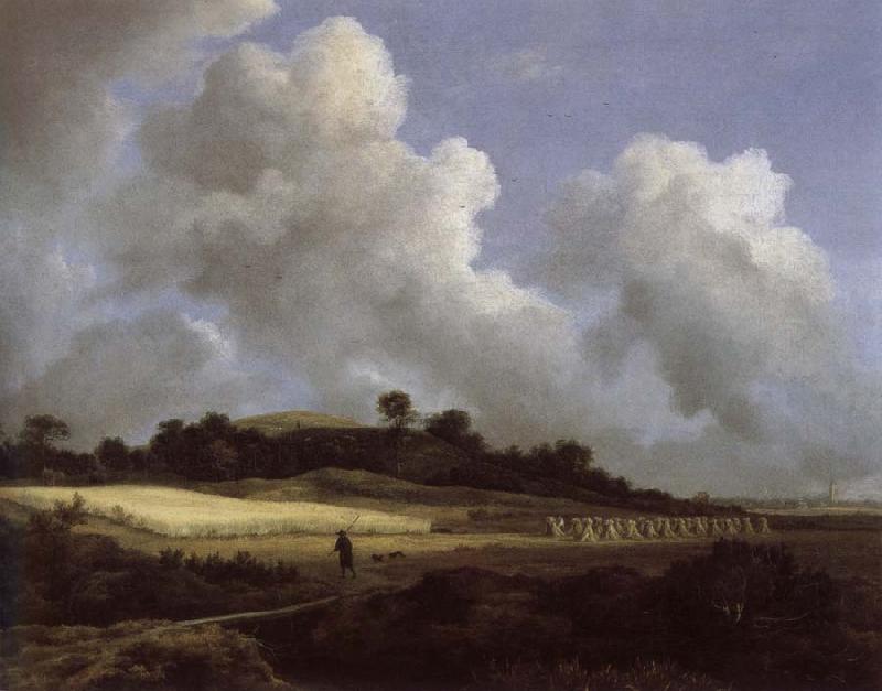 Jacob van Ruisdael View of Grainfields with a Distant town